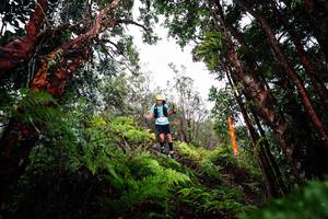 BIB: 
                            <button type="button" onclick="openModal(26202312)" class="btn btn-primary btn-sm float-right btn-popup" data-toggle="modal" data-target=".modal-high-quality">
                        <i class="fas fa-shopping-cart"></i> Add to Cart
                    </button>
                                            <button type="button" onclick="isThisMe(26202312, true)" class="btn btn-success btn-sm float-right btn-popup btn-isme hidden" data-toggle="tooltip" data-placement="bottom" title="นี่คือรูปของคุณใช่ไหม คลิกที่นี่เพื่อเอาเข้าอัลบั้ม">
                        <i class="fas fa-plus"></i> Add to album
                    </button>
                    <button type="button" onclick="isThisMe(26202312, false)" class="btn btn-warning btn-sm float-right btn-popup btn-isnotme hidden">
                        <i class="fas fa-ban"></i> Remove from album
                    </button>